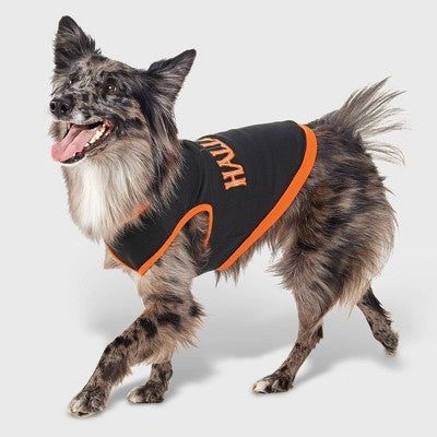 Halloween Dog And Cat Sweatshirt - Hyde And EEK! Boutique™
