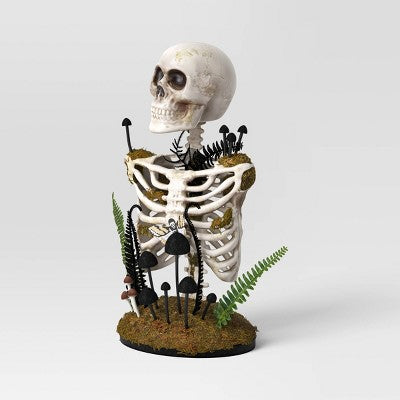  16.5" Plastic Skeleton Bust Halloween Decorative Prop - Hyde And EEK! Boutique™