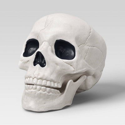  6" Skull Halloween Decorative Prop - Hyde And EEK! Boutique™