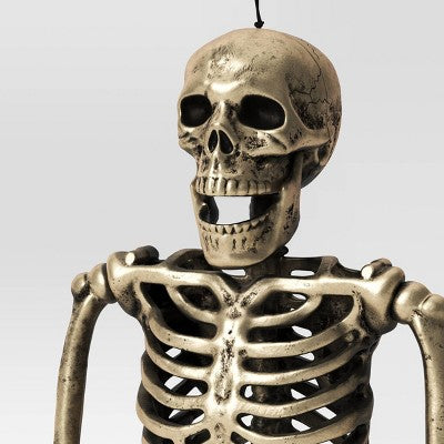  24" Poseable Skeleton Halloween Decorative Prop Shiny Champagne With Weathered Finish - Hyde And EEK! Boutique™