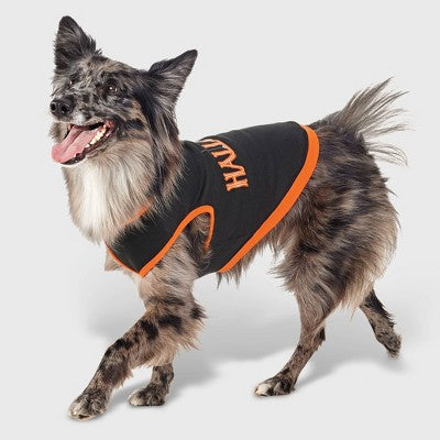  Halloween Dog And Cat Sweatshirt - Hyde And EEK! Boutique™