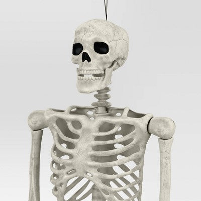  60" Poseable Bone Skeleton Halloween Decorative Prop Off-White - Hyde And EEK! Boutique™